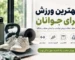 بهترین ورزش برای جوانان